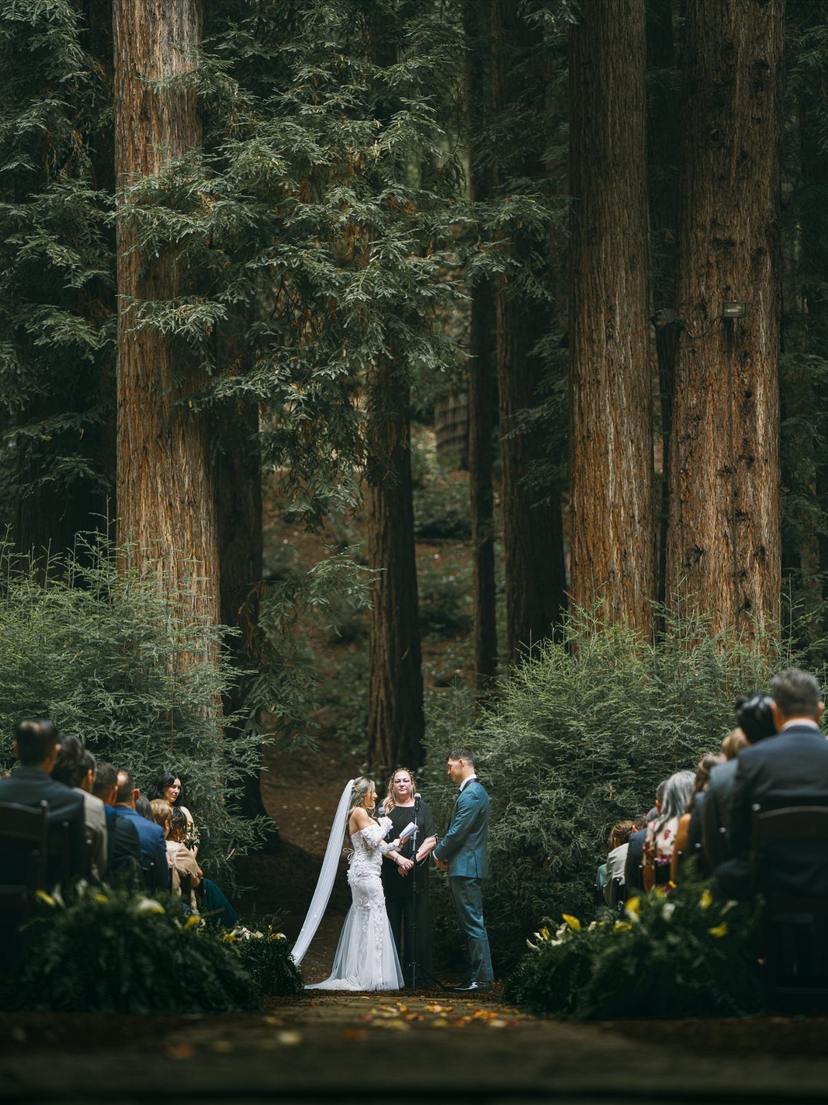 A bride and groom exchange vows during a wedding ceremony in a redwood forest clearing.